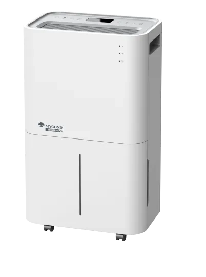 Dezumidificatoare de aer rezidențiale Roomer Eco 25 